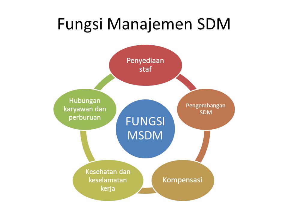 Fungsi Manajemen SDM Penyediaan staf Kompensasi Pengembangan SDM