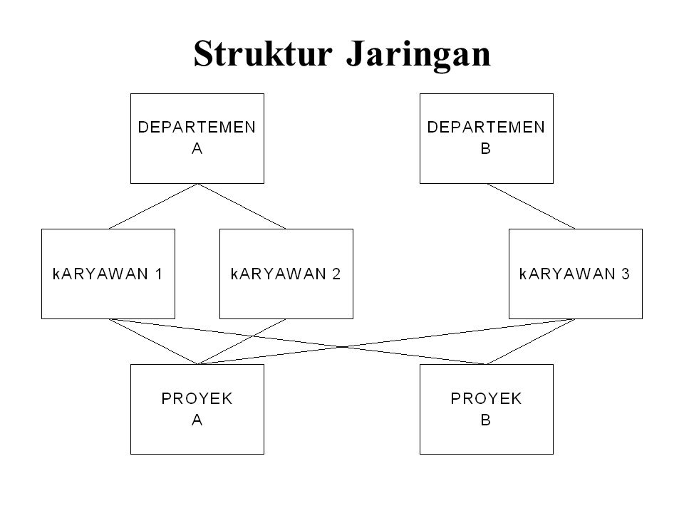 Struktur Jaringan