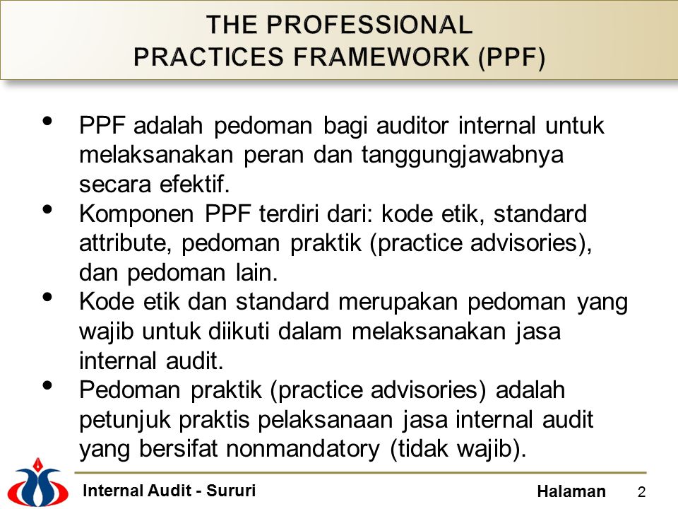 THE PROFESSIONAL PRACTICES FRAMEWORK (PPF)