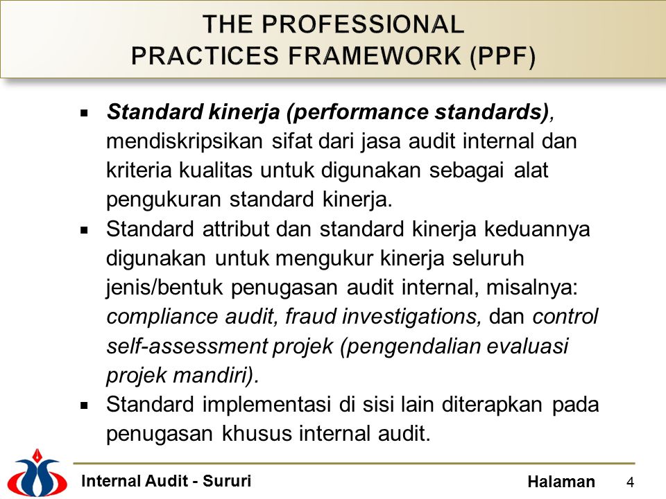 THE PROFESSIONAL PRACTICES FRAMEWORK (PPF)