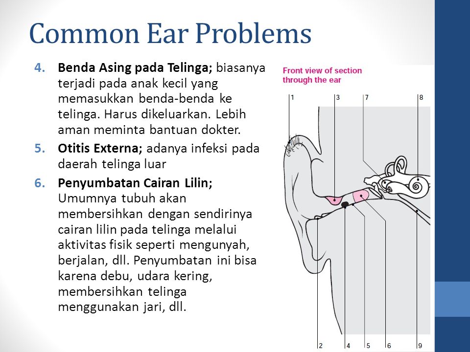 Common Ear Problems