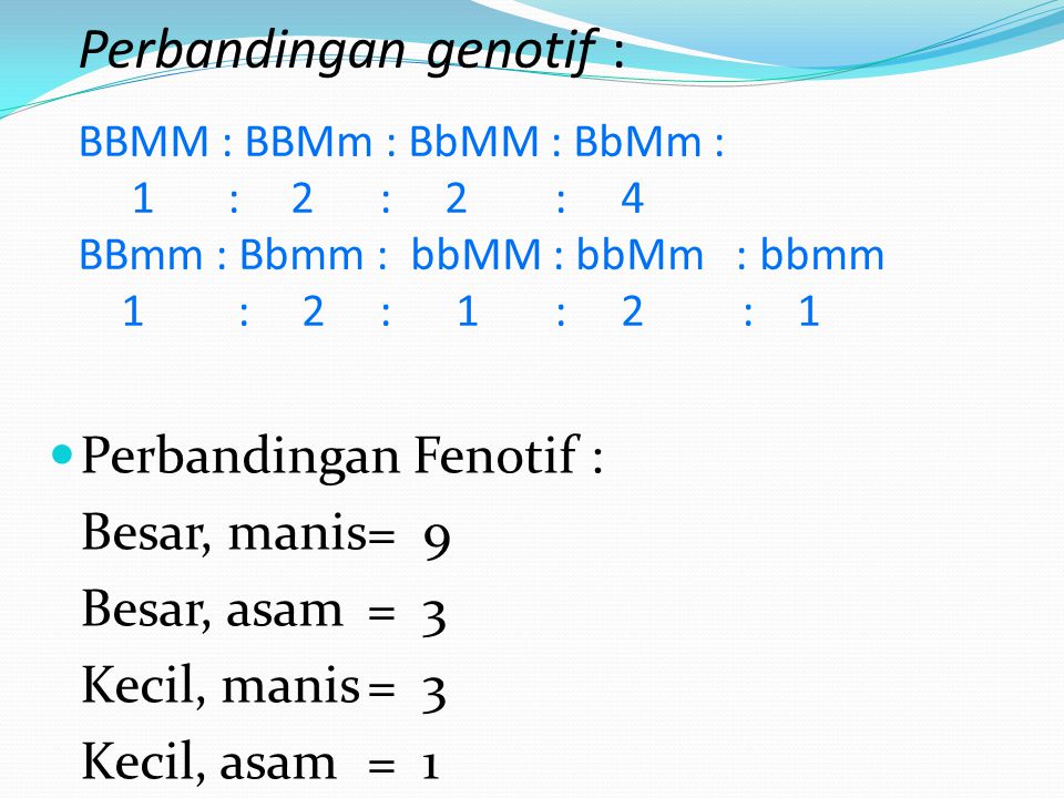 Perbandingan genotif : BBMM : BBMm : BbMM : BbMm : 1. :. 2 : 2 : 4