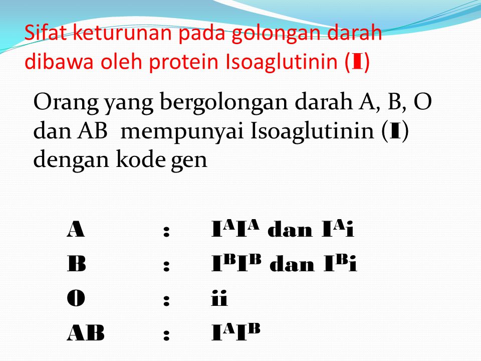 Sifat keturunan pada golongan darah dibawa oleh protein Isoaglutinin (I)