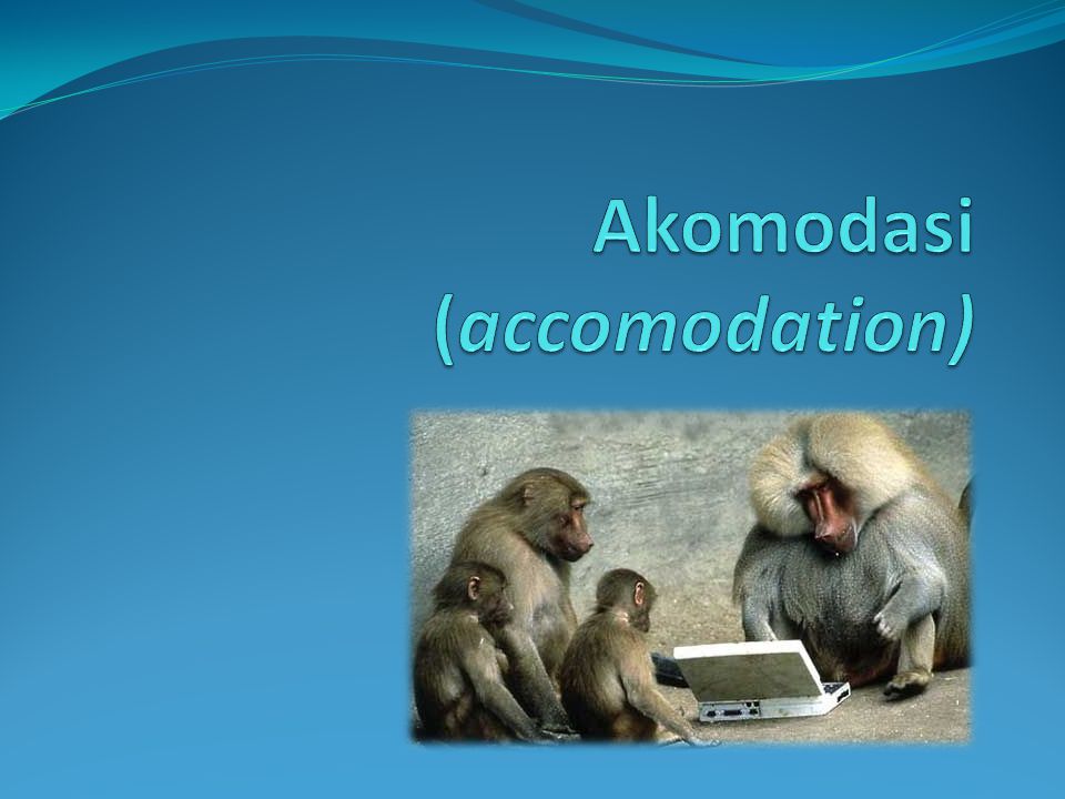 Akomodasi (accomodation)