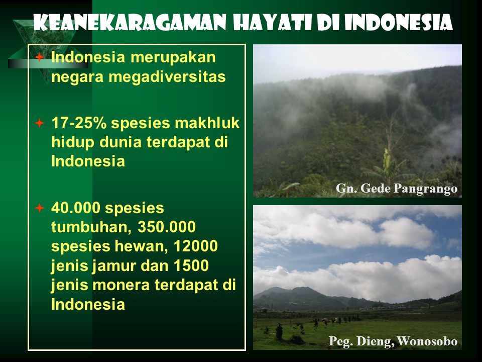 Keanekaragaman hayati di Indonesia