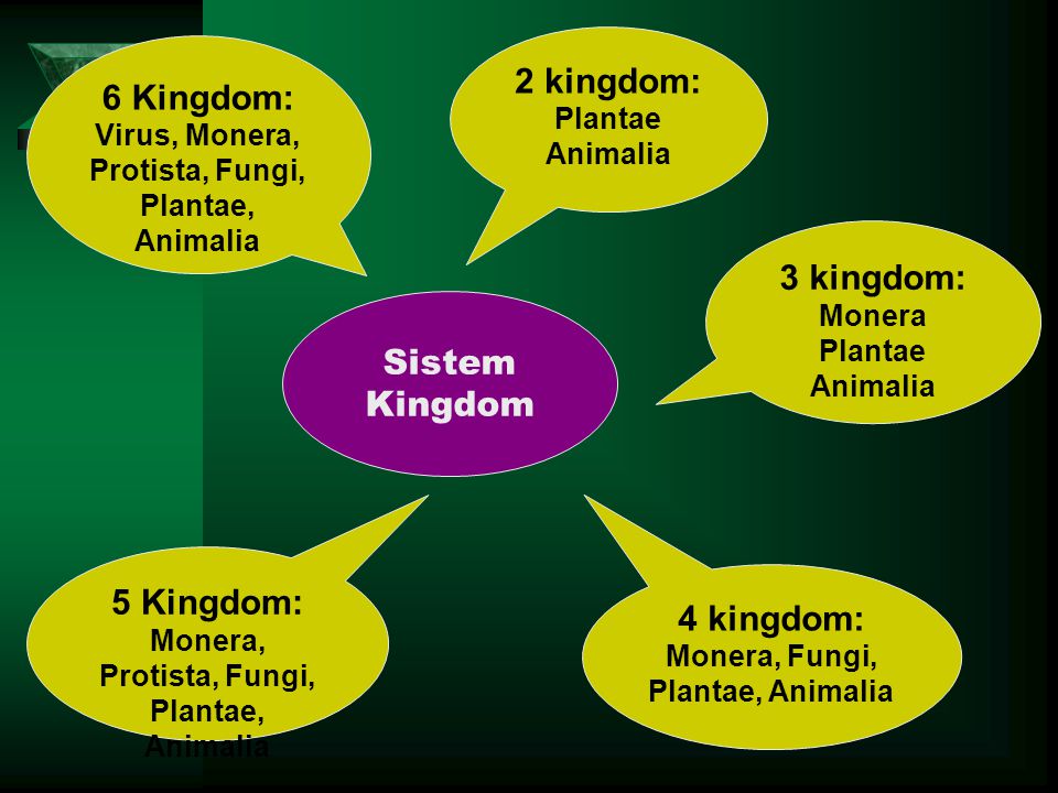 2 kingdom: 6 Kingdom: 3 kingdom: Sistem Kingdom 5 Kingdom: 4 kingdom: