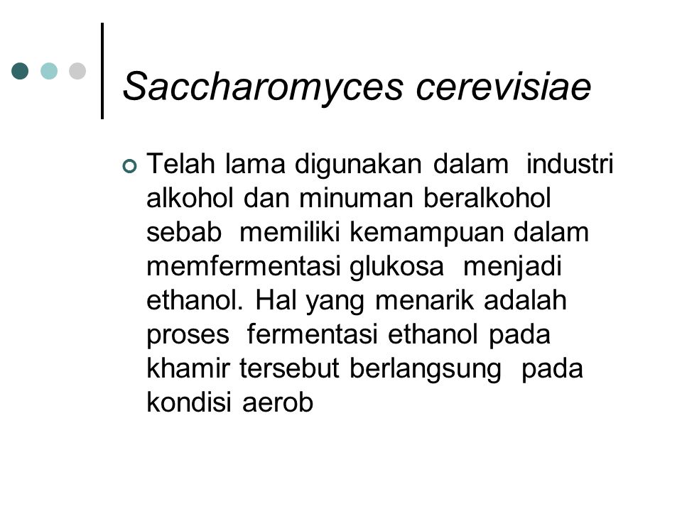 Saccharomyces cerevisiae memiliki kemampuan untuk