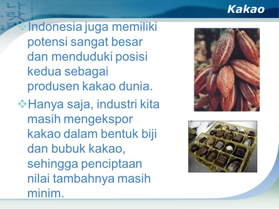 Kakao Indonesia juga memiliki potensi sangat besar dan menduduki posisi kedua sebagai produsen kakao dunia.