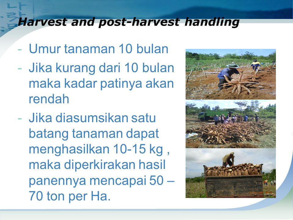Harvest and post-harvest handling