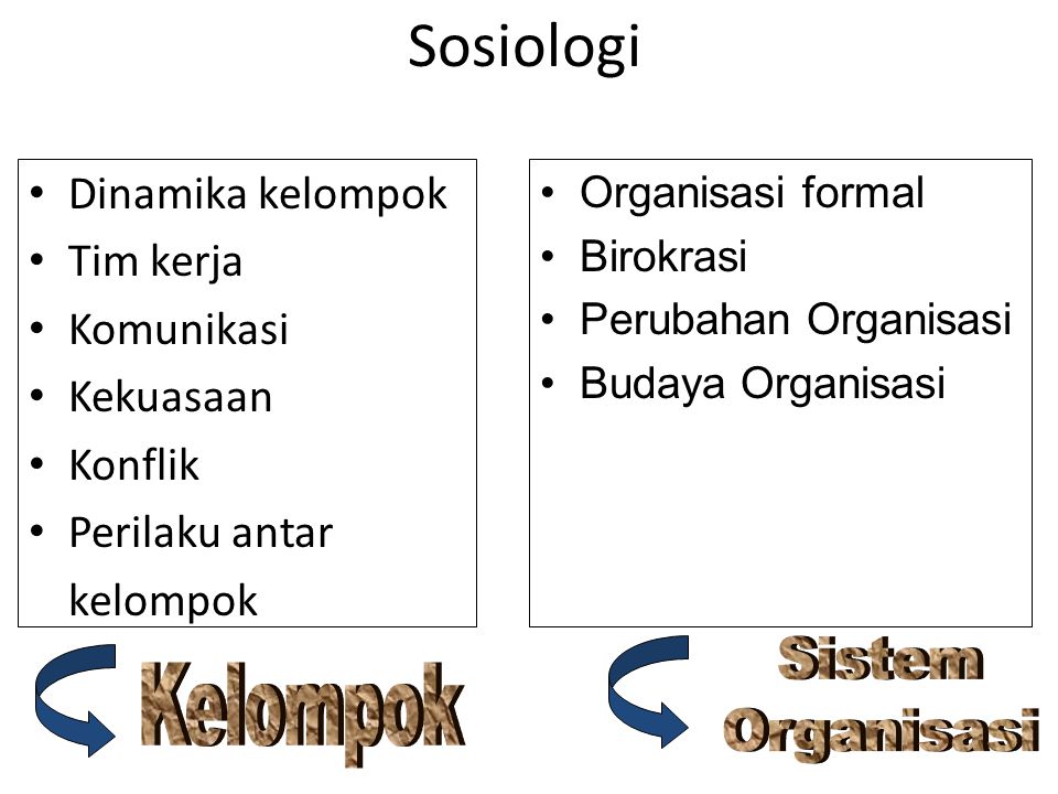 Sosiologi Sistem Organisasi Kelompok Dinamika kelompok Tim kerja