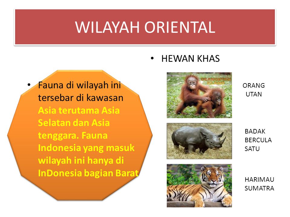 WILAYAH ORIENTAL HEWAN KHAS
