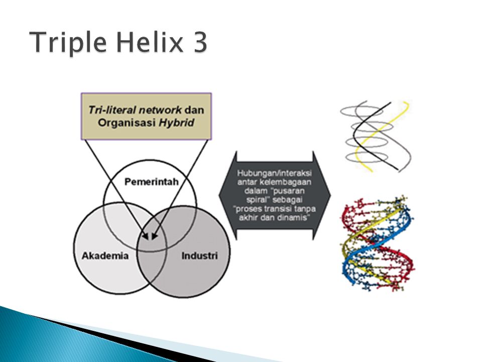 Triple Helix 3