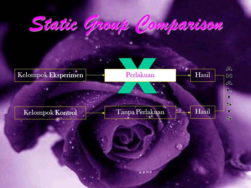 Static Group Comparison