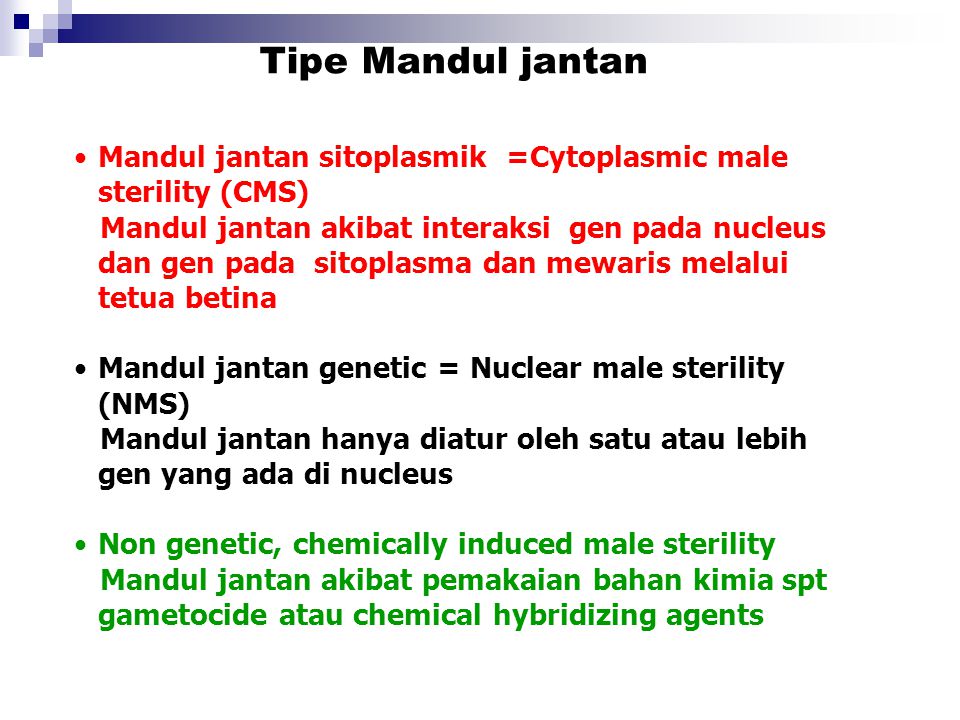 Tipe Mandul jantan Mandul jantan sitoplasmik =Cytoplasmic male sterility (CMS)
