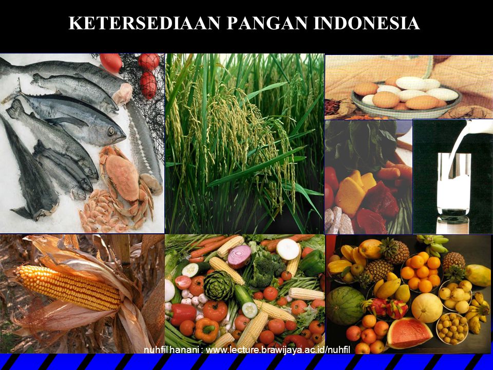 KETERSEDIAAN PANGAN INDONESIA