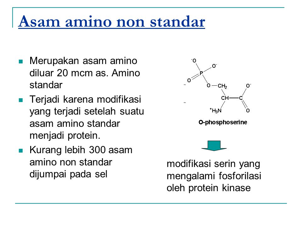 Asam amino non standar Merupakan asam amino diluar 20 mcm as. Amino standar.