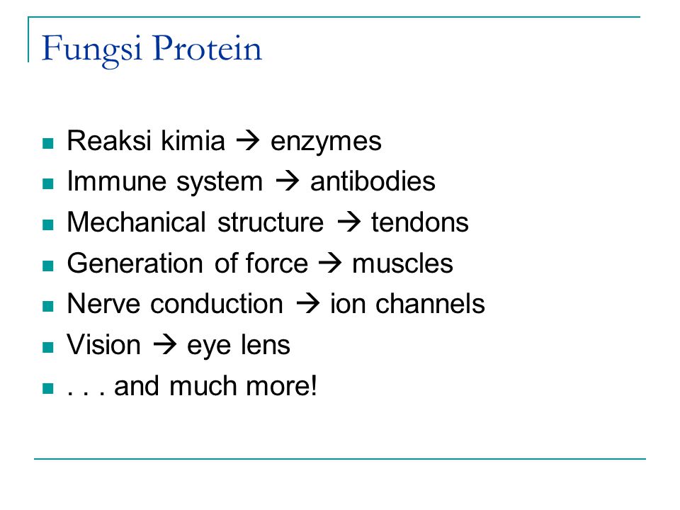 Fungsi Protein Reaksi kimia  enzymes Immune system  antibodies