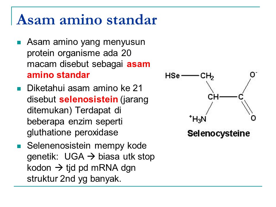 Asam amino standar Asam amino yang menyusun protein organisme ada 20 macam disebut sebagai asam amino standar.
