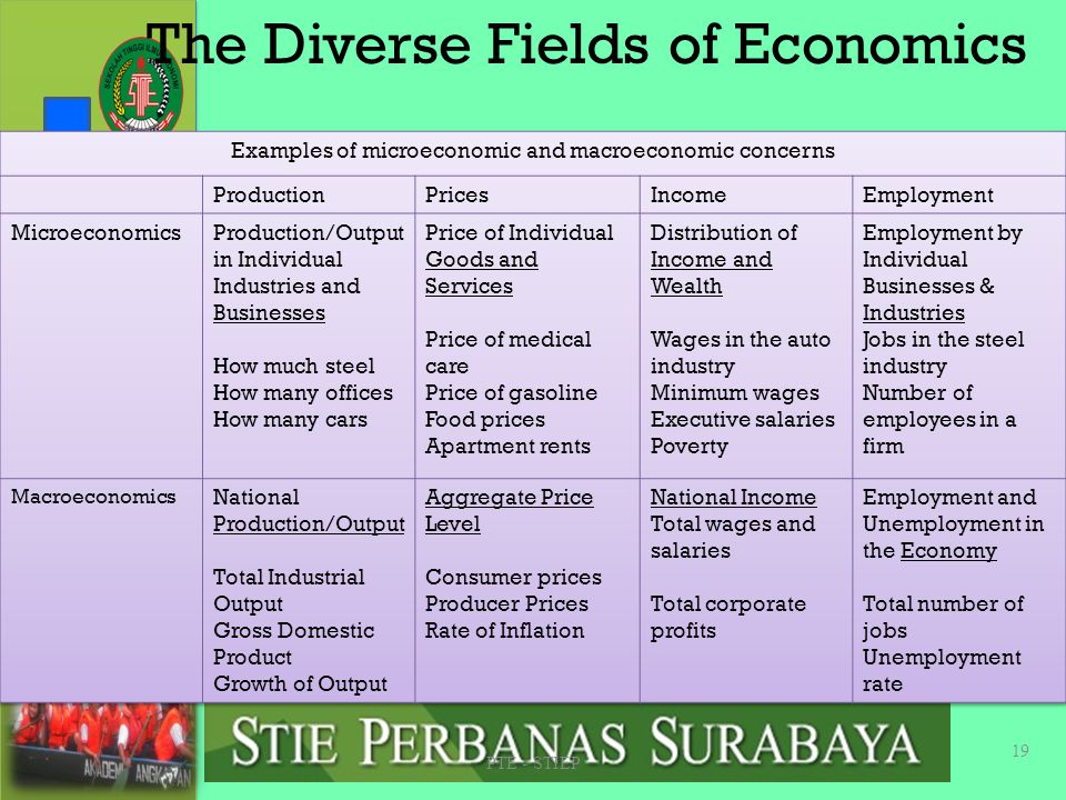 The Diverse Fields of Economics