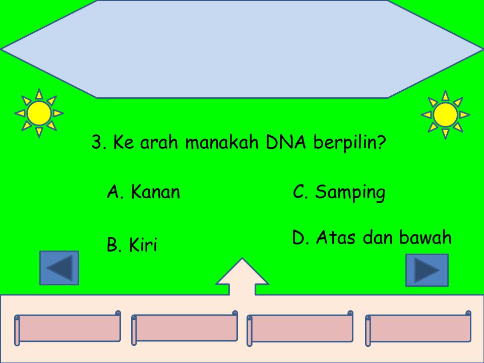 3. Ke arah manakah DNA berpilin