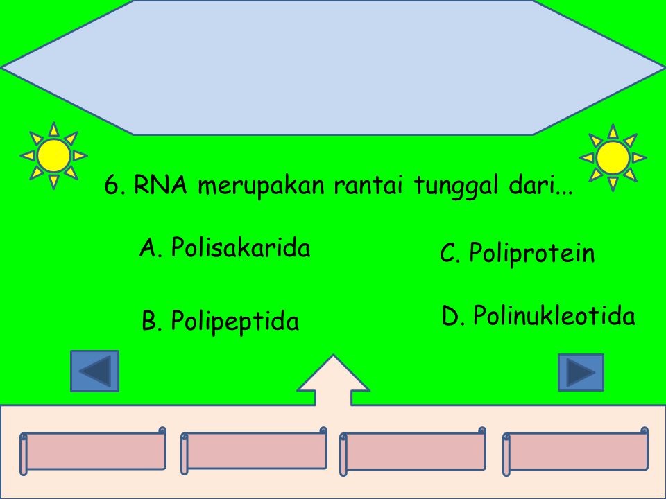 6. RNA merupakan rantai tunggal dari...