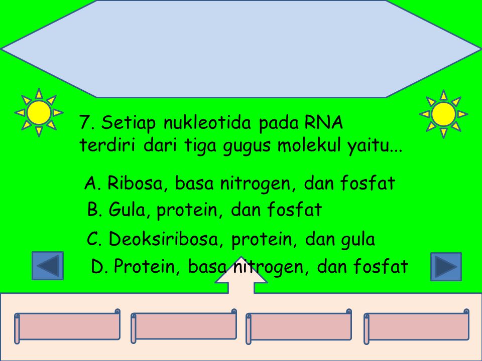 7. Setiap nukleotida pada RNA