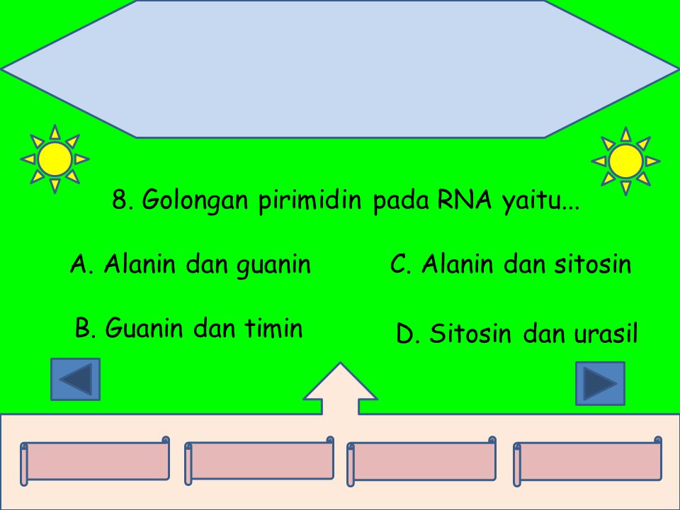 8. Golongan pirimidin pada RNA yaitu...