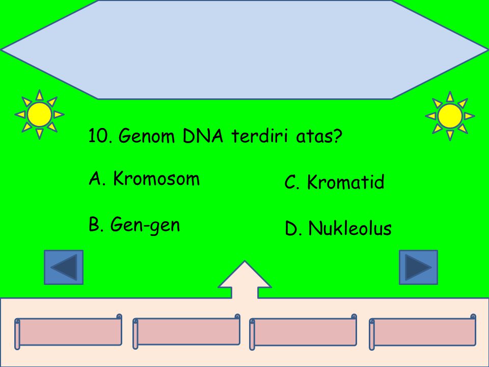 10. Genom DNA terdiri atas A. Kromosom C. Kromatid B. Gen-gen D. Nukleolus