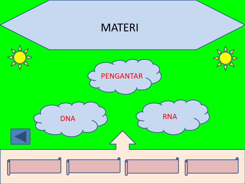 MATERI PENGANTAR RNA DNA