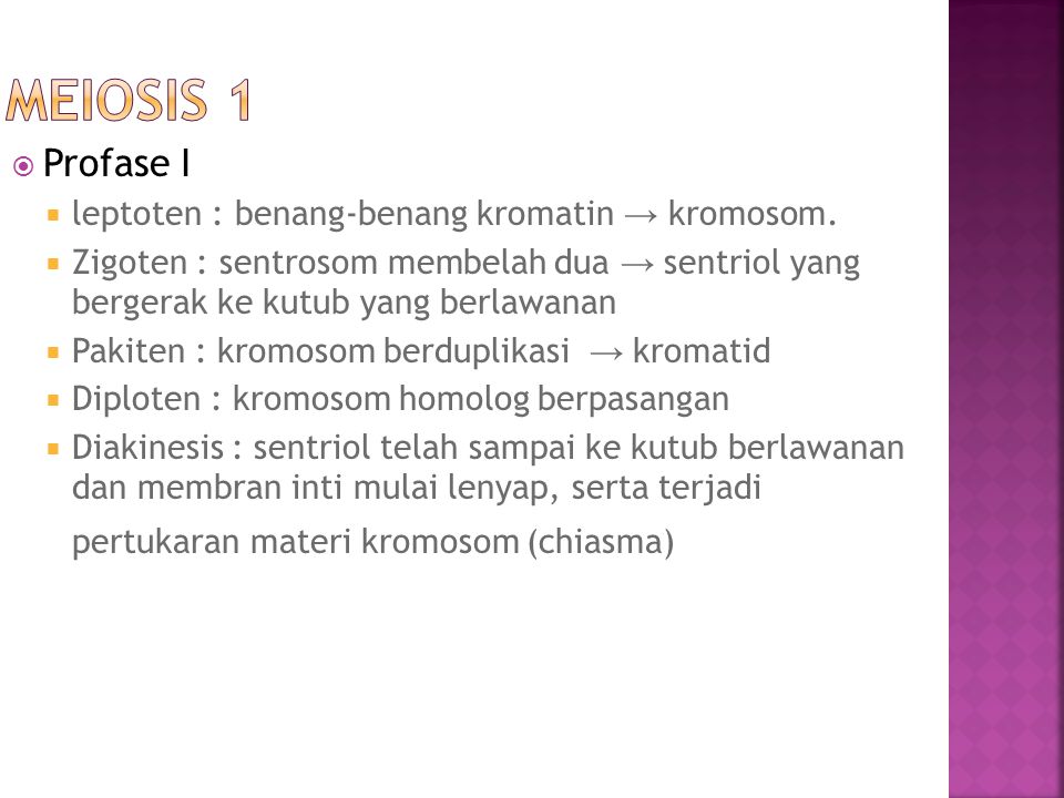 Meiosis 1 Profase I leptoten : benang-benang kromatin → kromosom.
