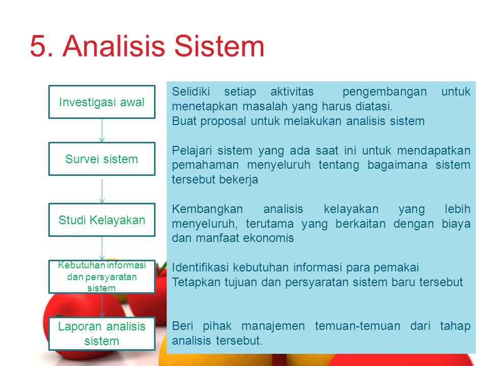 5. Analisis Sistem Investigasi awal. Survei sistem. Studi Kelayakan. Kebutuhan informasi dan persyaratan sistem.