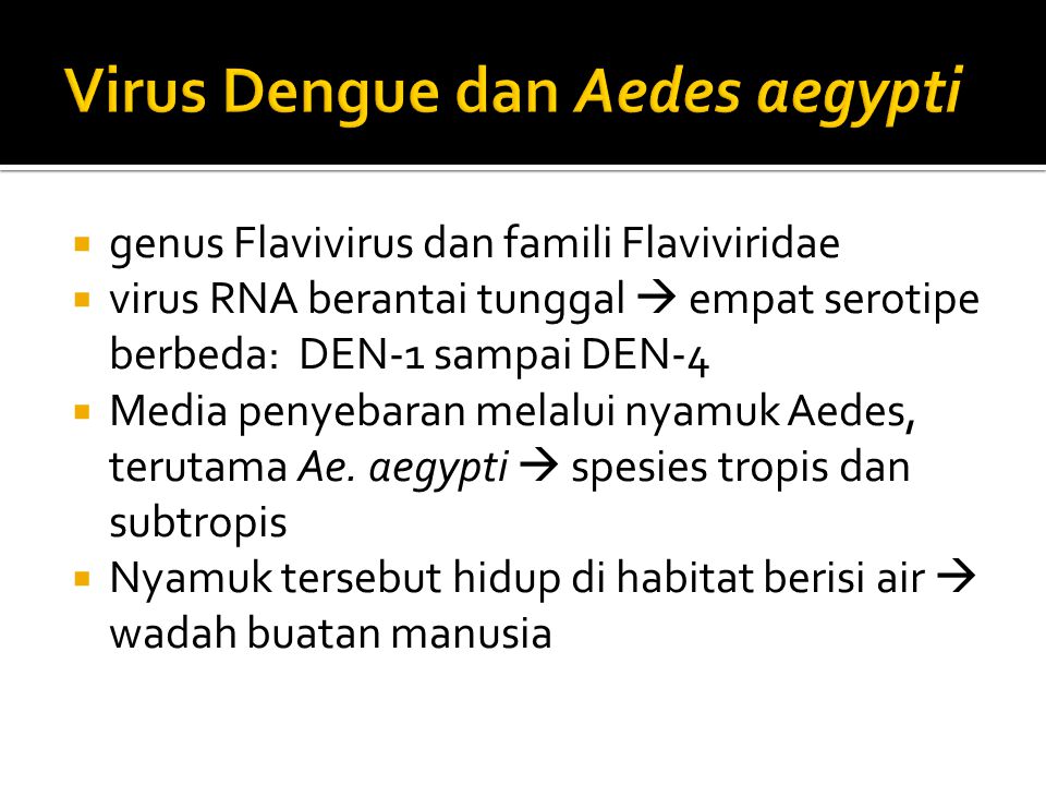 Virus Dengue dan Aedes aegypti