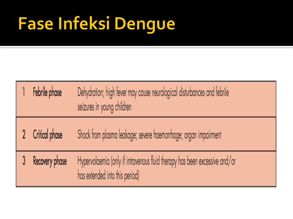 Fase Infeksi Dengue