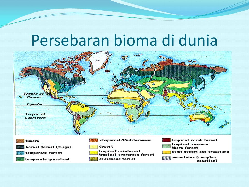 Persebaran bioma di dunia