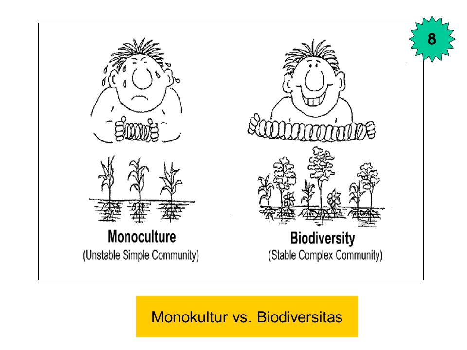 Monokultur vs. Biodiversitas