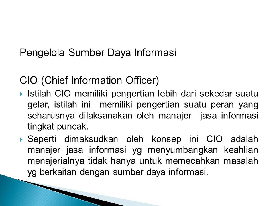 Pengelola Sumber Daya Informasi CIO (Chief Information Officer)
