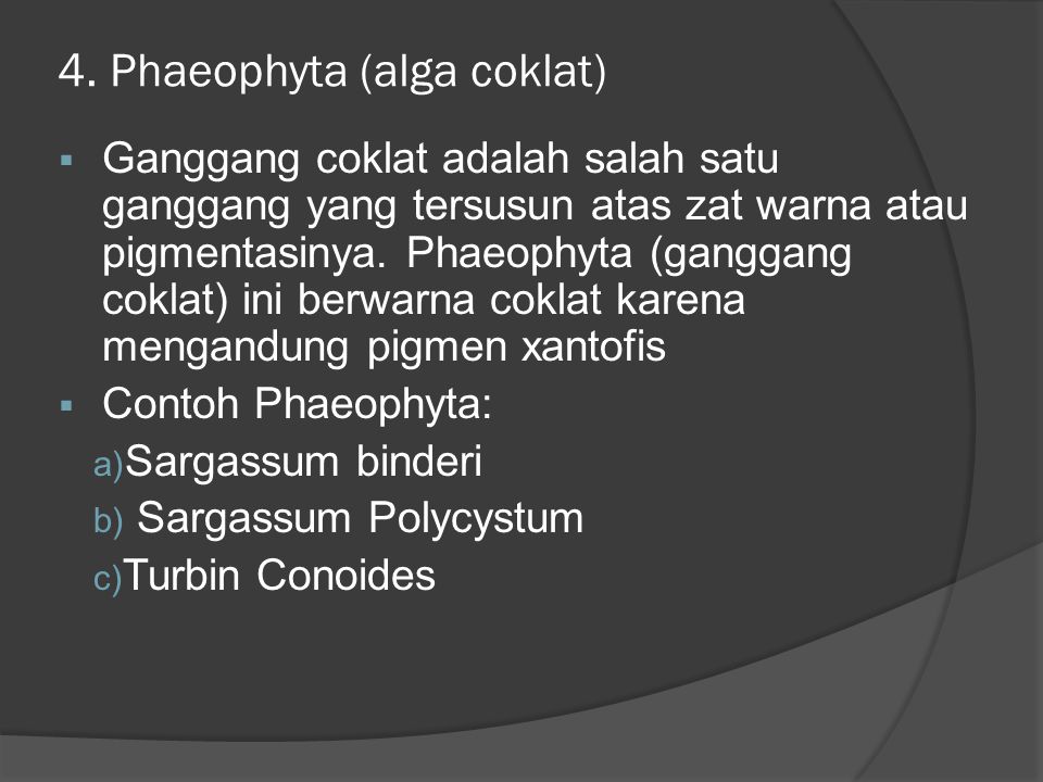 Pigmen Tumbuhan Pada Alga Coklat Adalah