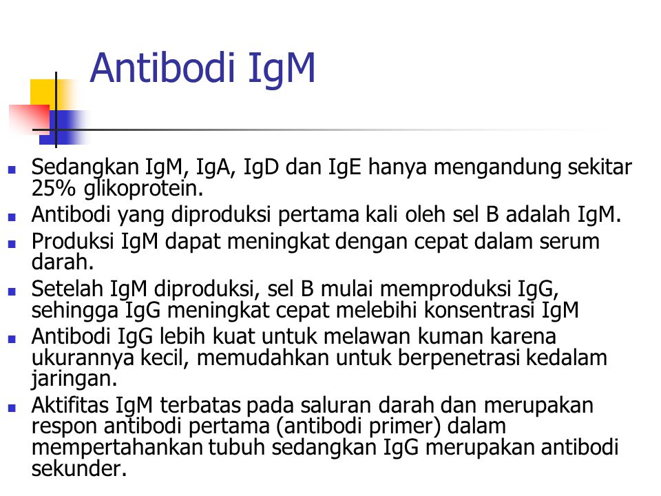Antibodi IgM Sedangkan IgM, IgA, IgD dan IgE hanya mengandung sekitar 25% glikoprotein. Antibodi yang diproduksi pertama kali oleh sel B adalah IgM.