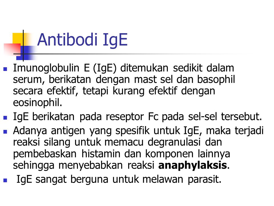 Antibodi IgE