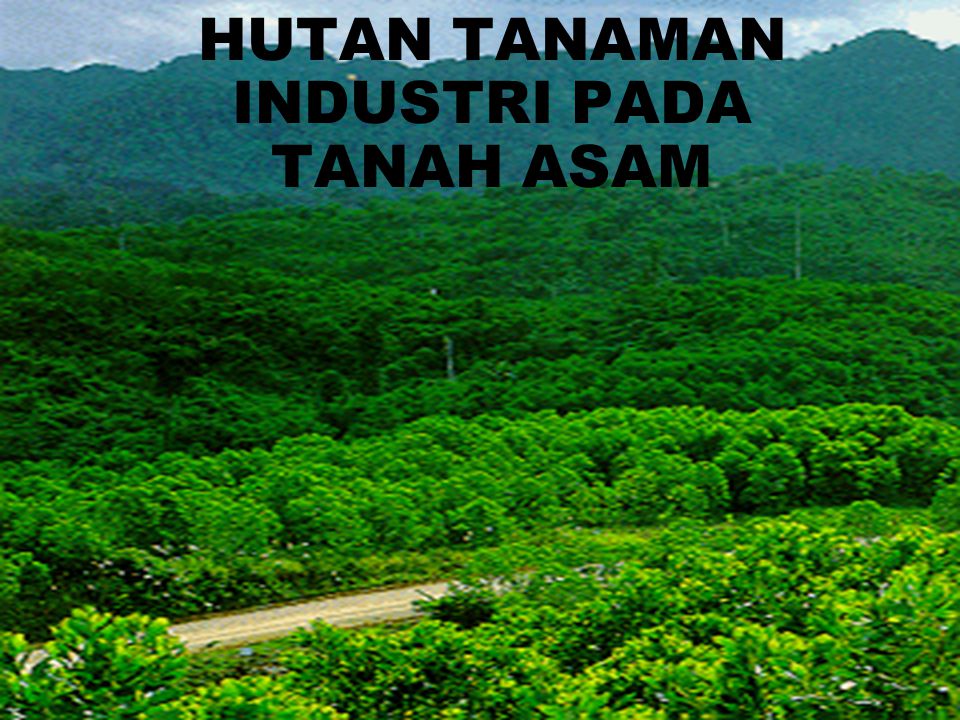 Hutan Tanaman Industri Pada Tanah Asam Ppt Download