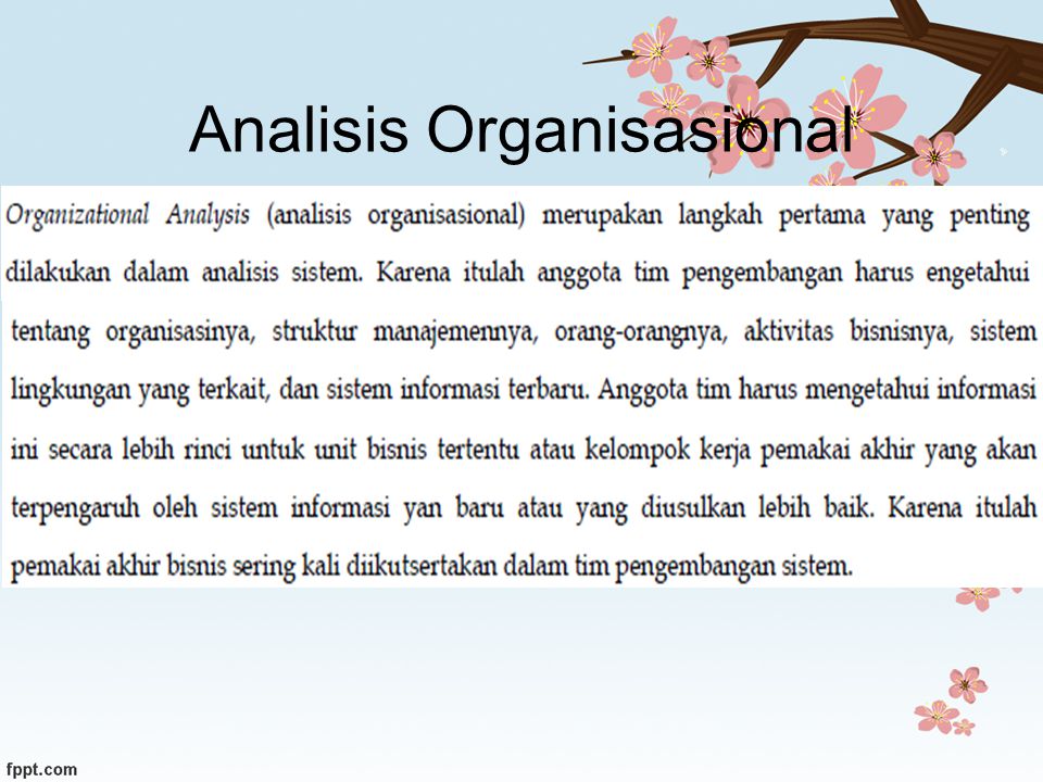 Analisis Organisasional