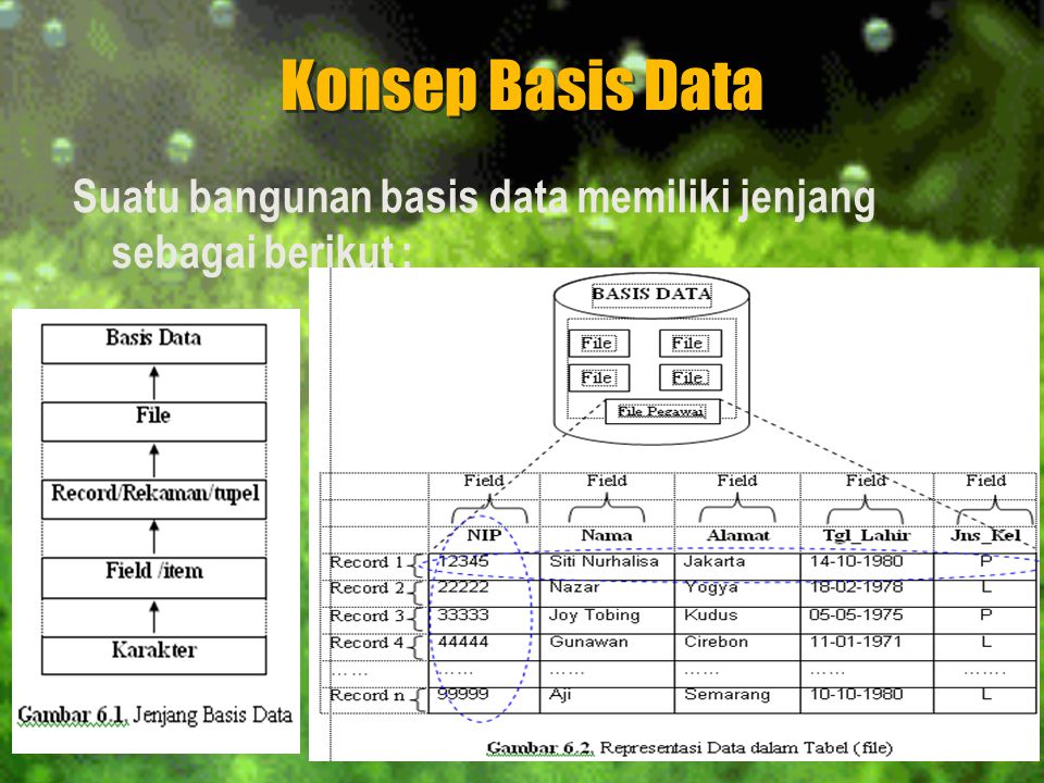 Konsep Basis Data Suatu bangunan basis data memiliki jenjang sebagai berikut :
