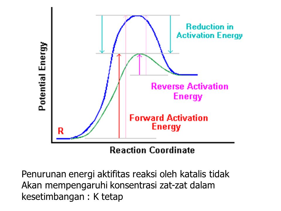 Penurunan energi aktifitas reaksi oleh katalis tidak