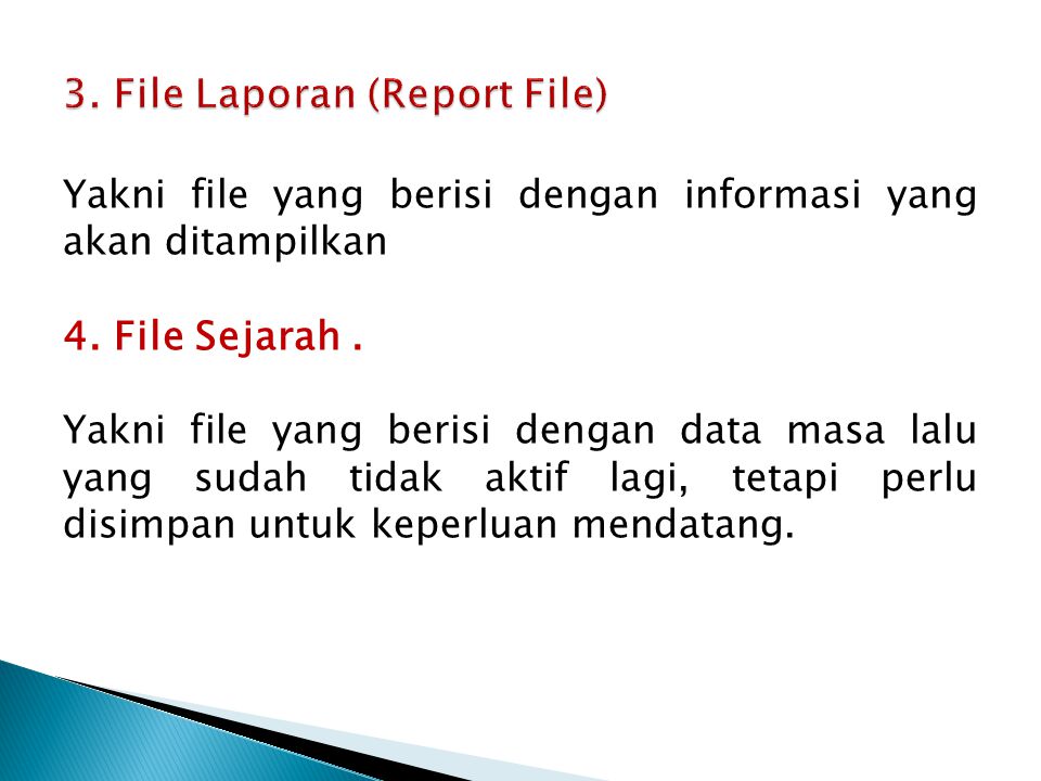 3. File Laporan (Report File)