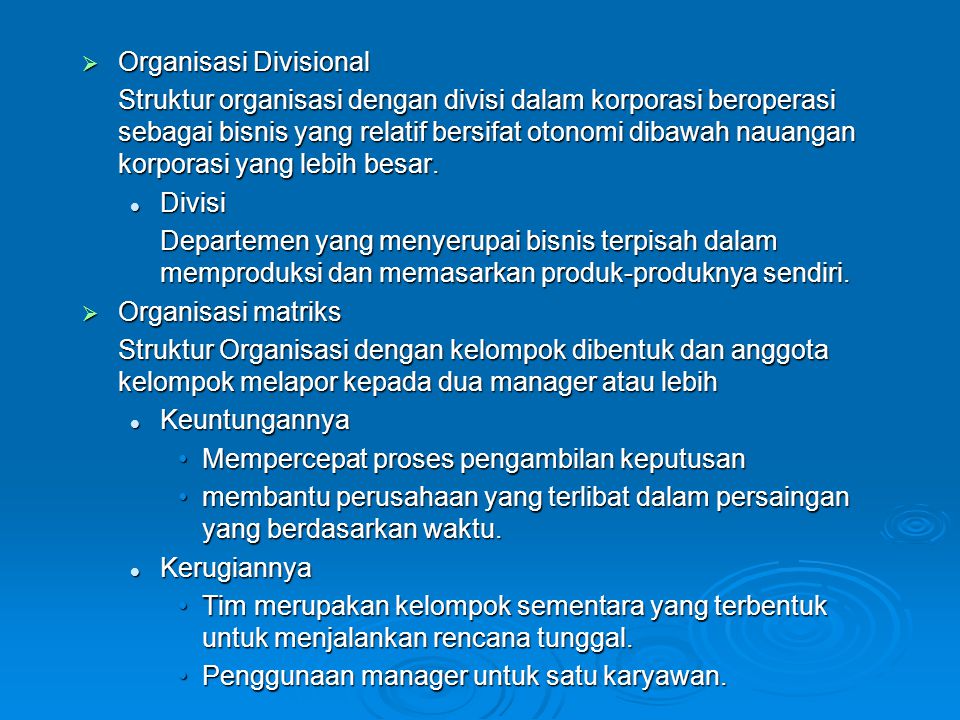 Organisasi Divisional