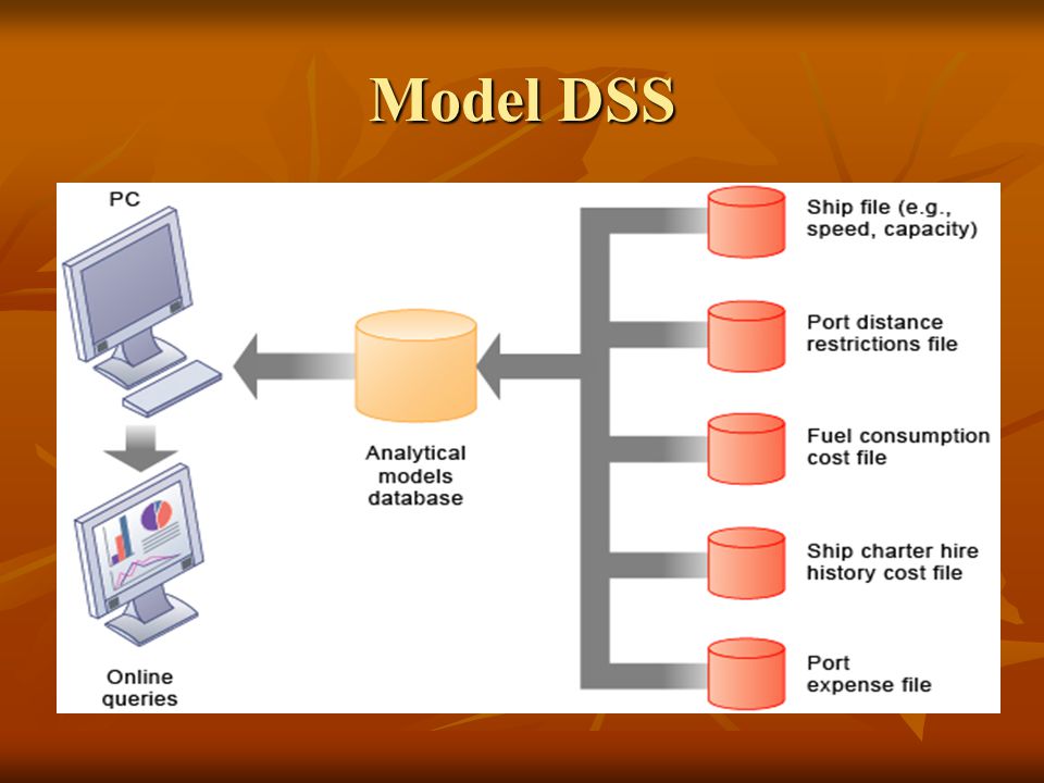 Model DSS
