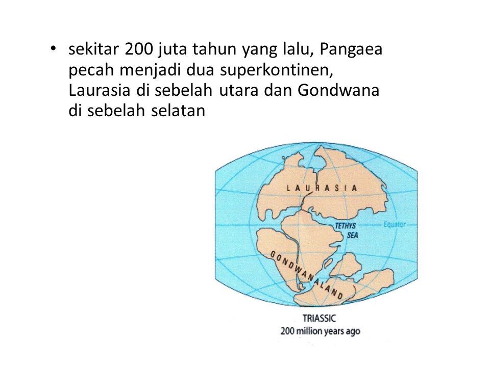 sekitar 200 juta tahun yang lalu, Pangaea pecah menjadi dua superkontinen, Laurasia di sebelah utara dan Gondwana di sebelah selatan