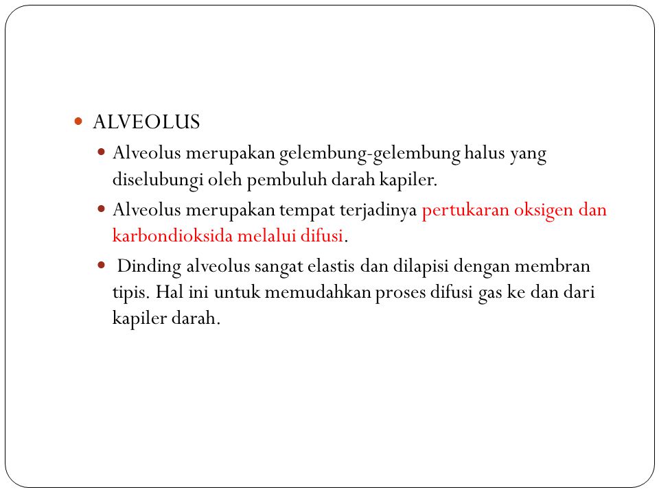 ALVEOLUS Alveolus merupakan gelembung-gelembung halus yang diselubungi oleh pembuluh darah kapiler.