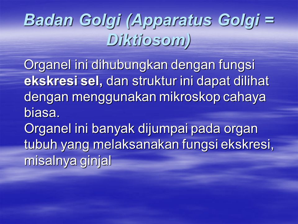 Badan Golgi (Apparatus Golgi = Diktiosom)