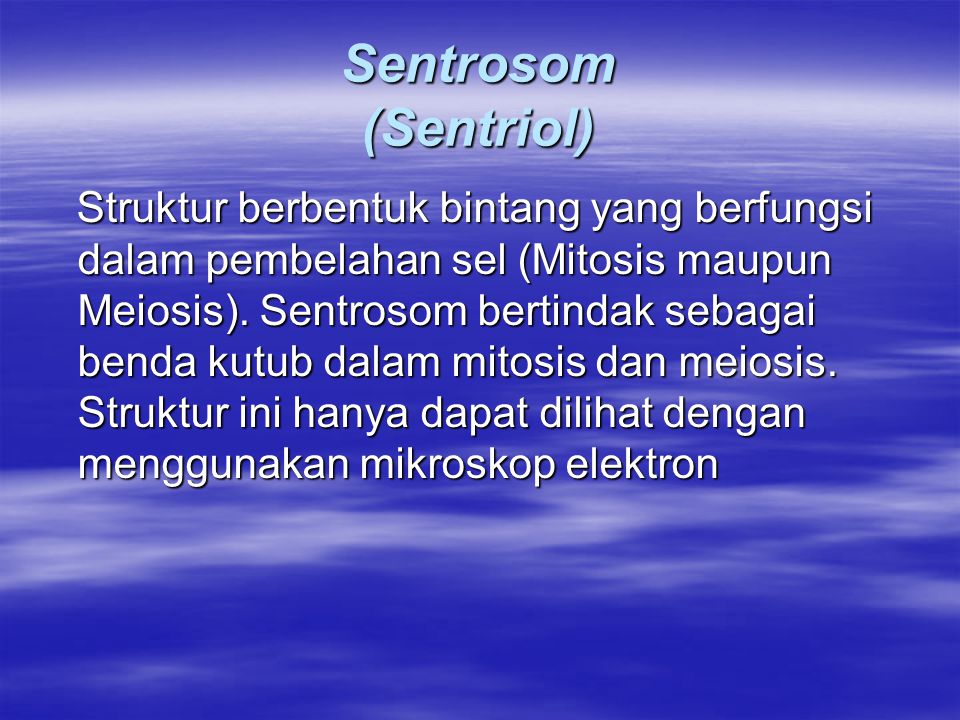 Sentrosom (Sentriol)